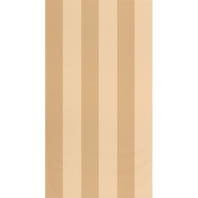 Caselio 104021180 Vliesová tapeta na zeď BASICS rozměry 0,53 x 10,05 m
