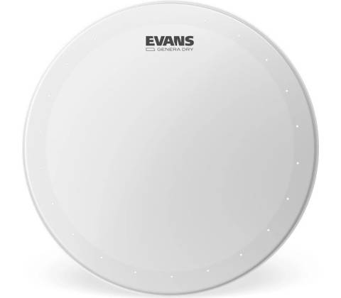 Evans B12DRY