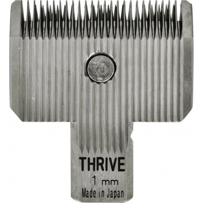 Thrive 5500