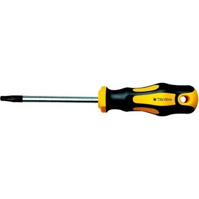 PROTECO 10.07-213-20 skrutkovač TORX TX20 x 100 mm