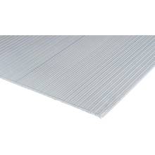 Bravo Polykarbonátová deska dutinková 2000 x 1050 x 4 mm čirá 1 ks