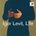 LEVIT, IGOR - LIFE CD