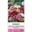 Seklos Годеция Монарх (Сатенено цвете) Godetia grandiflora Lindl