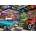 Trefl - Puzzle Premium Plus Tea Time: Car Collector's Garage - 1 000 piese