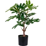House Nordic Изкуствено растение (височина 60 cm) Fig - House Nordic (9501110)