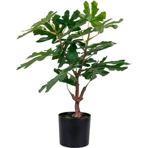 House Nordic Изкуствено растение (височина 60 cm) Fig - House Nordic (9501110)