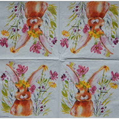 Ambiente obrúsky Zaječice 33x33cm