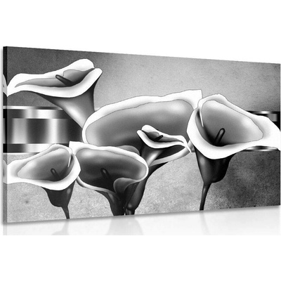 Obraz elegantní květy kaly v černobílém provedení - 150x100