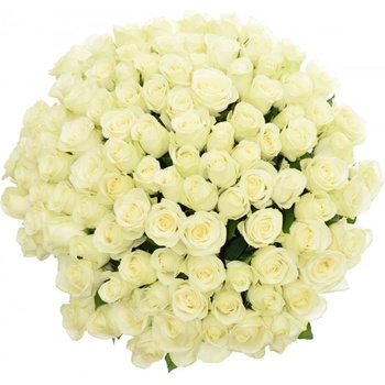 Kytice 100 bílých růží SNOWSTORM 60cm