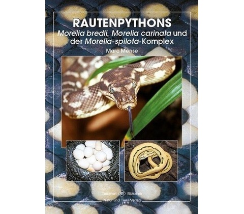 Rautenpythons