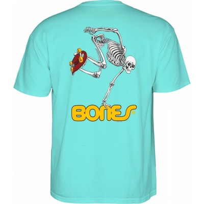 Bones Skate Skeleton Celadon