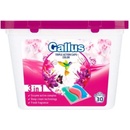 Gallus Color kapsule 30 PD