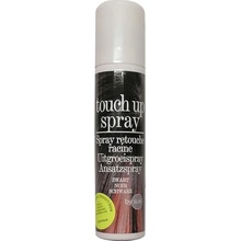 Trend ptouch up spray black sprej na krytie šedín a odrastov 75 ml