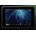 Atomos Shinobi 7