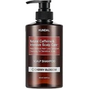 Kundal Natural Caffeine & Intensive Scalp care+ šampon 500 ml