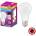 OSRAM LEDVANCE A60 E27 8.5W 6500K 806lm (P22698)
