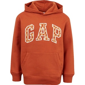 GAP V-fall fshn logo po s