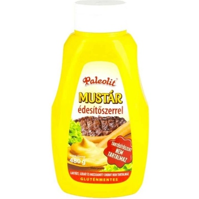 Paleolit Hořčice se sladidlem 480 g