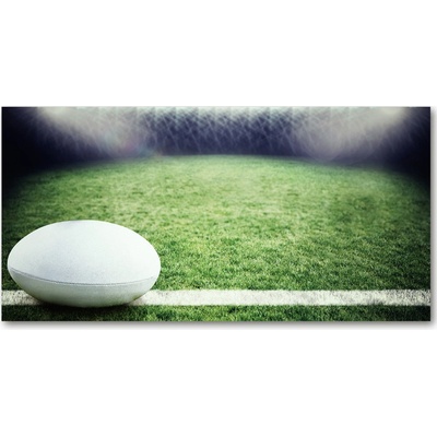 Fotoobraz na skle Loptu do rugby 100x50 cm
