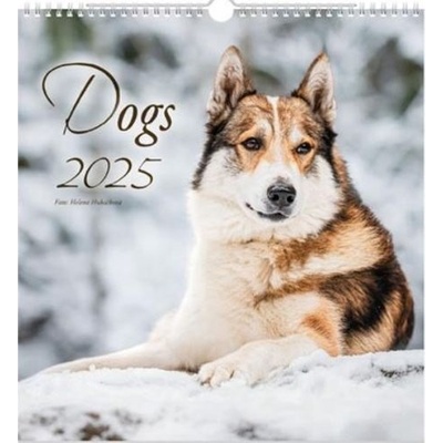 Dogs nástěnný 2025