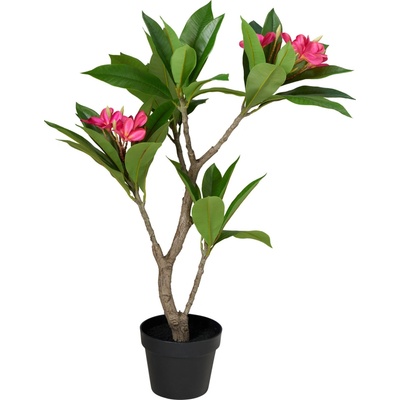 Botanical Decoration Umělý stromek v květináči Frangipani, 50 x 90 cm zelený