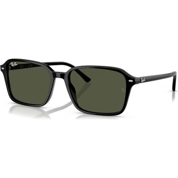 Ray-Ban RB2231 901/31