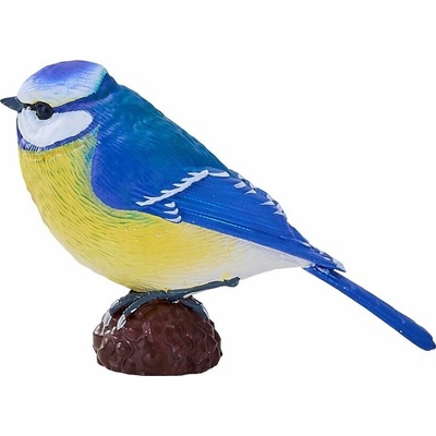 Mojo Sýkorka belasá