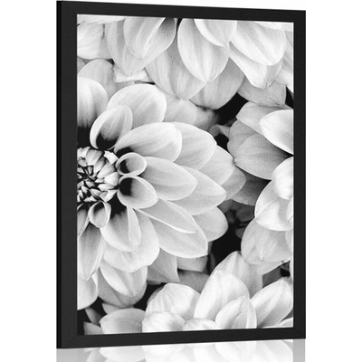 Plakát květiny dálí v černobílém provedení - 20x30 white