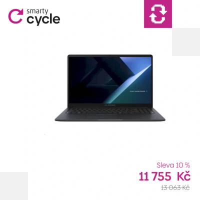 Asus ExpertBook B1 B1503CVA-C316512