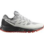Salomon Outpath GTX Mens Hiking Shoe - Alloy/Luna