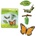 Safari Ltd Safari® Жизнен цикъл на пеперудата монарх (S622616)