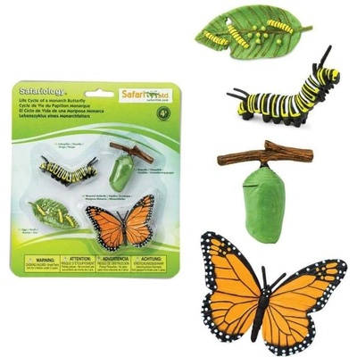 Safari Ltd Safari® Жизнен цикъл на пеперудата монарх