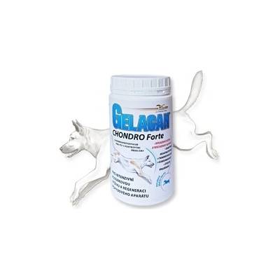 Orling Gelacan Chondro Forte 500g kosti a kĺby