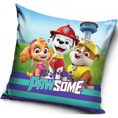 Carbotex Labková hliadka Tlapková patrola Paw Patrol s obrázkom Skye Marschalla a Ruble 40 x 40 cm
