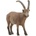 Schleich Козирог (14873)
