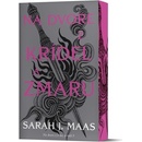 Na dvore z krídel a zmaru Na dvore z tŕňov a ruží 3