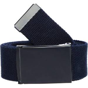 Willard BELT 120