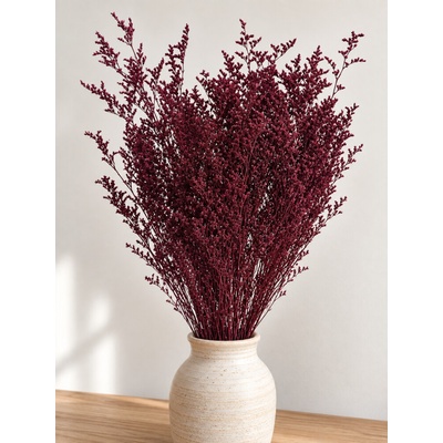 Limonium/Limonka stabilizovaná bordó svazek 100g