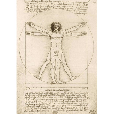 Bluebird Leonardo Da VinciThe Vitruvian Man 1490 1000 dielov