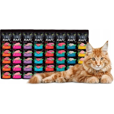 Rafi MIX kachna, krůta, tuňák, telecí maso 40 x 100 g