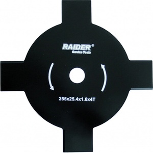 Raider 110229