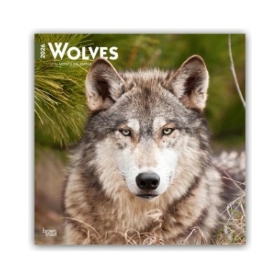Browntrout Verlags GmbH Wolves - Wölfe 2026 - 16-Monatskalender | BrownTrout Publishers Inc