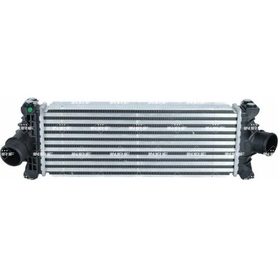 Chladič plniaceho vzduchu NRF 309154