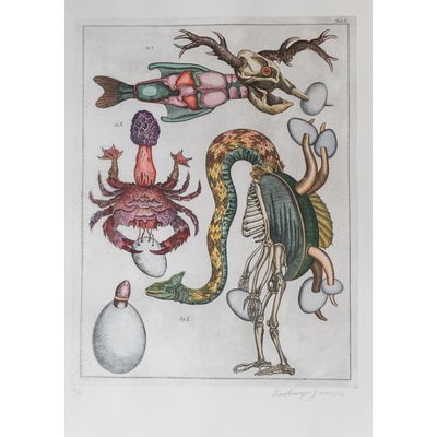 Jan Švankmajer: Z cyklu Přírodopis Tabulka č. 6