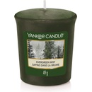 Yankee Candle Evergreen Mist 49 g
