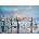 Anatolian - Puzzle Painting Up a Storm - 1 000 piese