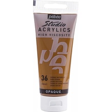 Studio Acrylic 100 ml 36 Raw sienna