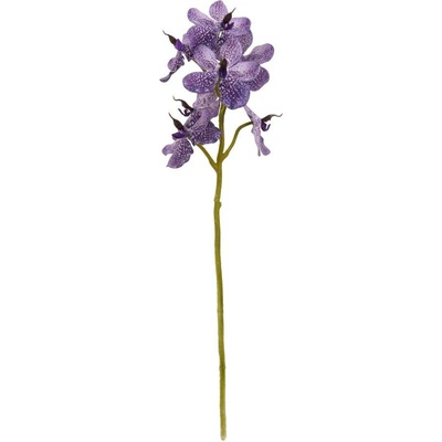 KS ORCHIDEA VANDA FIALOVO-BIELA x7 63CM