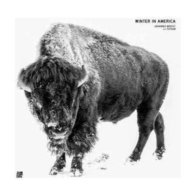 Johannes Brecht - Winter In America LP