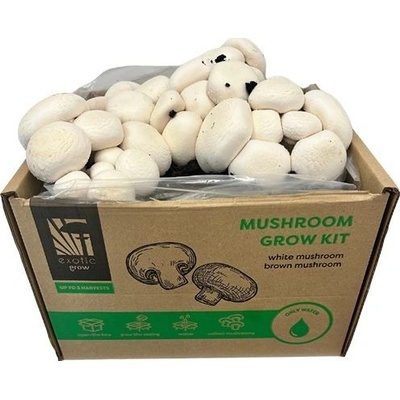 PLANTO Sada pro pěstování Žampión bílý 15l (Agaricus Bisporus) PO-15L-ZB